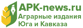 логотип.png
