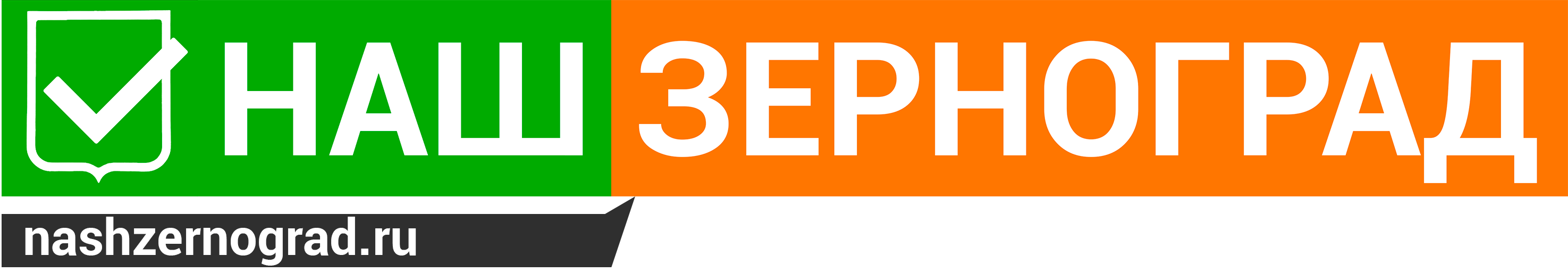 Logo_Nash_Zernograd_2017(1).png